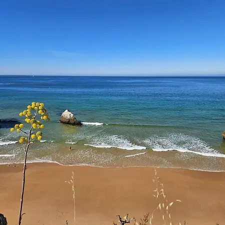 Orchid Prainha Διαμέρισμα *