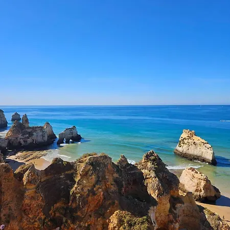 Orchid Prainha *