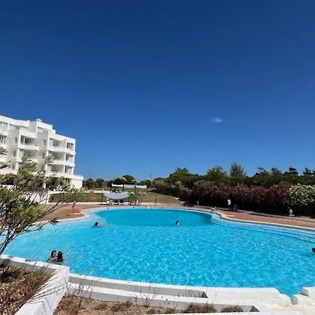 Orchid Prainha Alvor