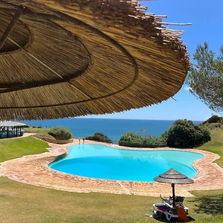 Orchid Prainha * Alvor