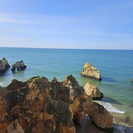 Orchid Prainha Alvor