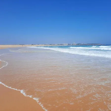 Orchid Prainha *