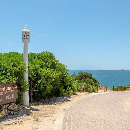 Orchid Prainha Alvor