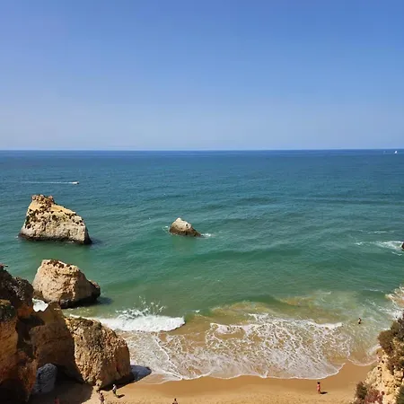 Orchid Prainha *