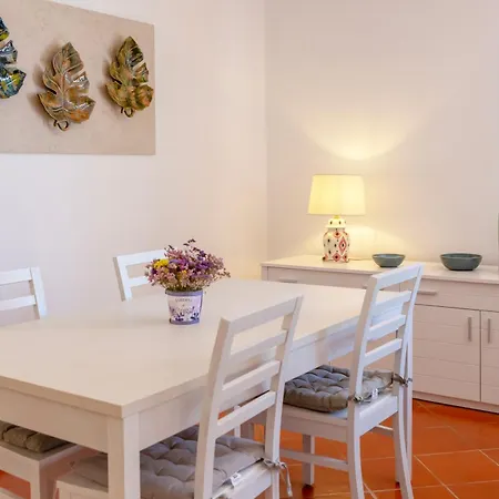 Orchid Prainha * Alvor